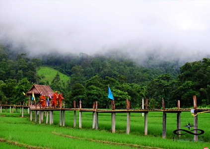 ทัวร์ปาย เชียงใหม่ ลำปาง